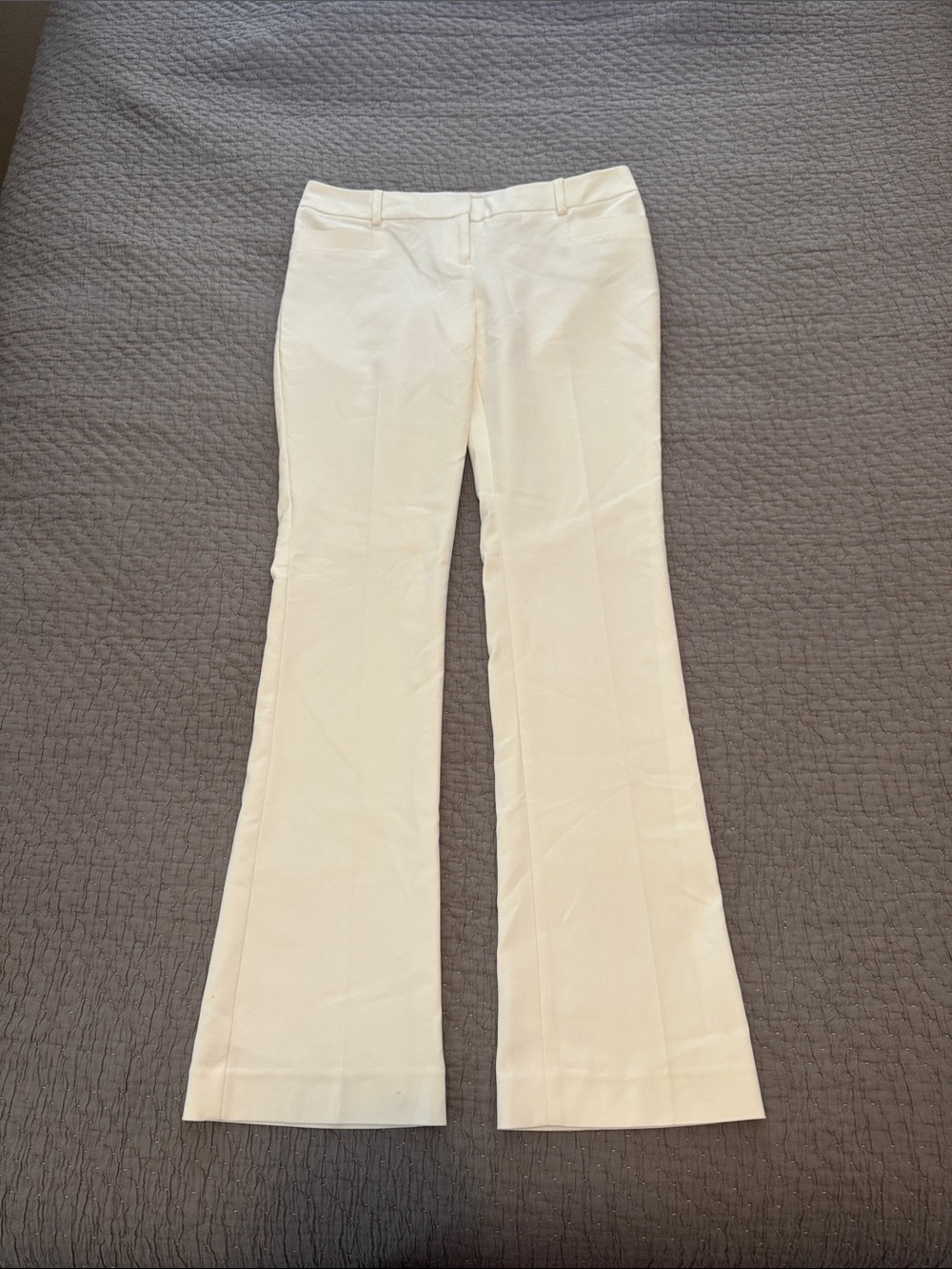 Express Columnist Barely Bootcut Dress Pants